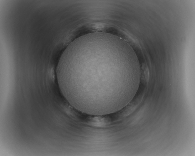 X0000113300562200909281106