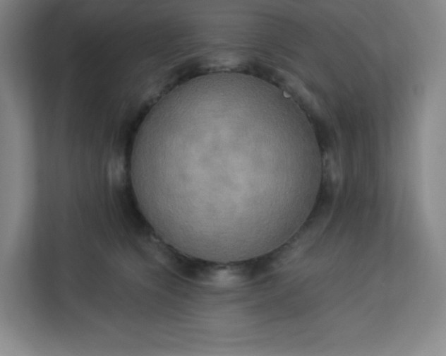 X0000113300564200909281106