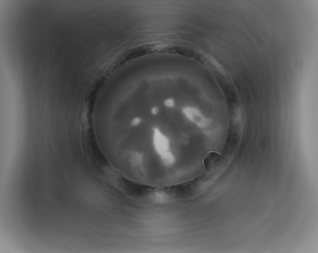 X0000113300565200909281106