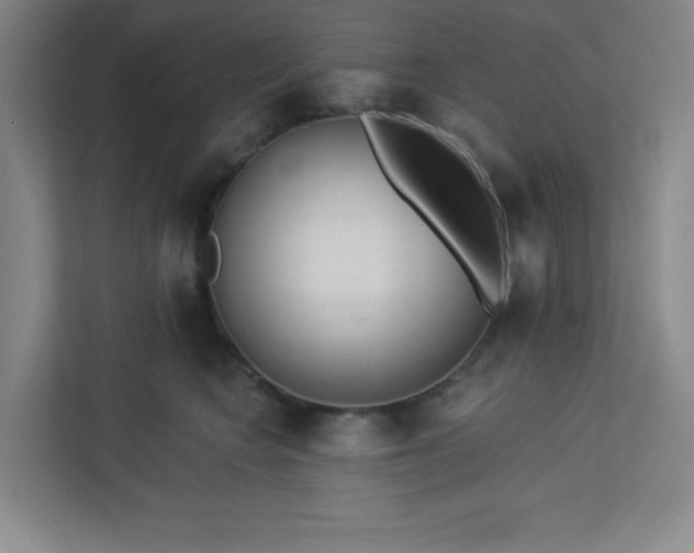 X0000113300566200909281107