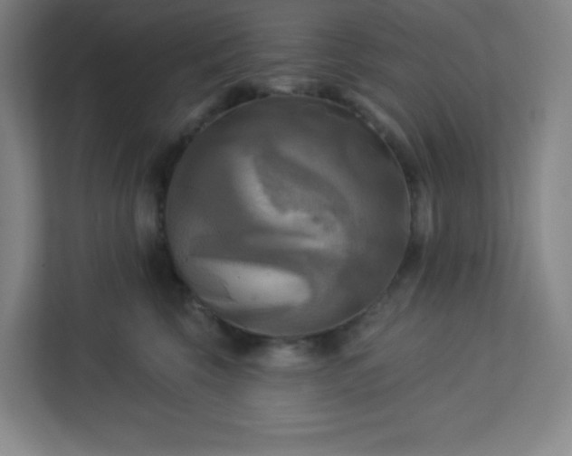 X0000113300569200909281107