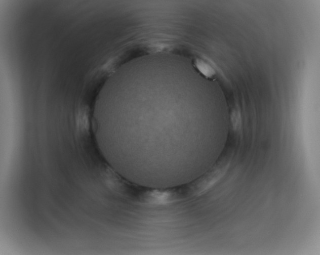 X0000113300570200909281107