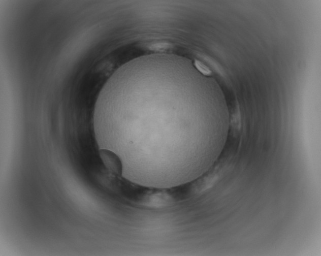 X0000113300572200909281107