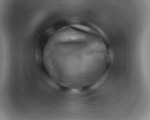 X0000113300573200909281107