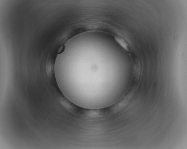 X0000113300574200909281107