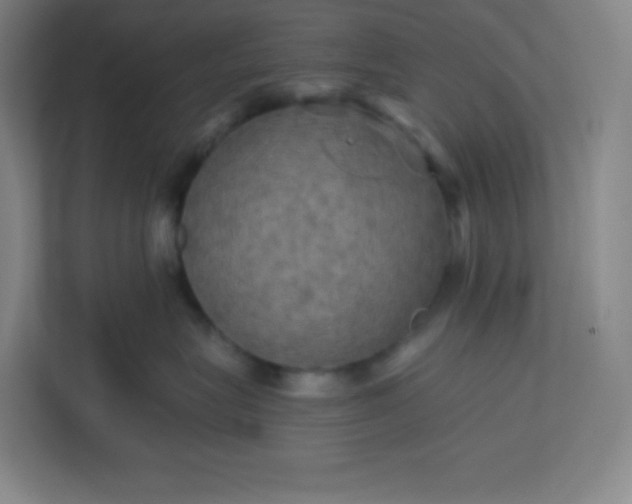 X0000113300575200909281107