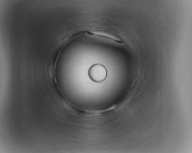 X0000113300576200909281107