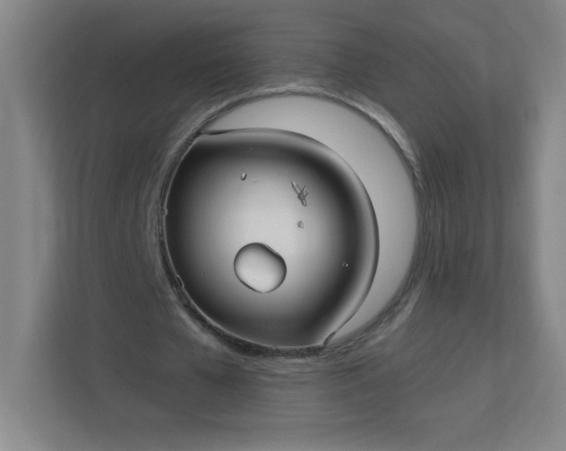 X0000113300577200909281106