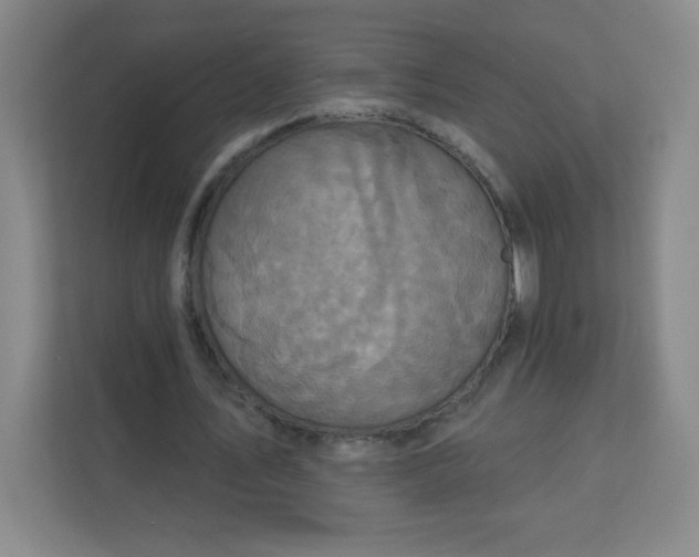 X0000113300579200909281106