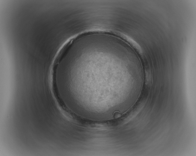 X0000113300580200909281106