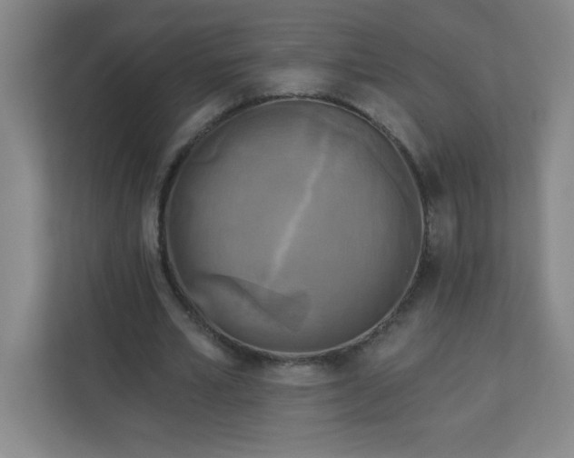 X0000113300581200909281106