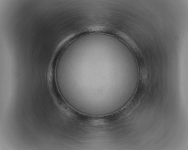 X0000113300583200909281106