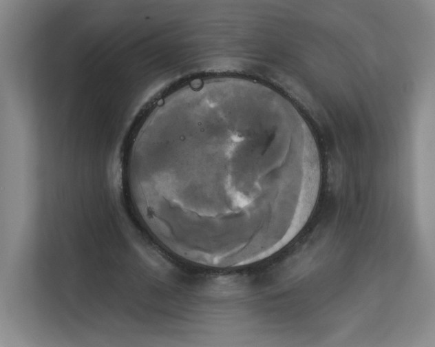 X0000113300584200909281106