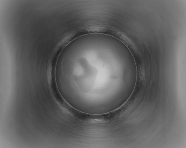 X0000113300586200909281106