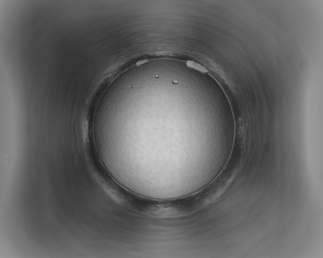 X0000113300589200909281106