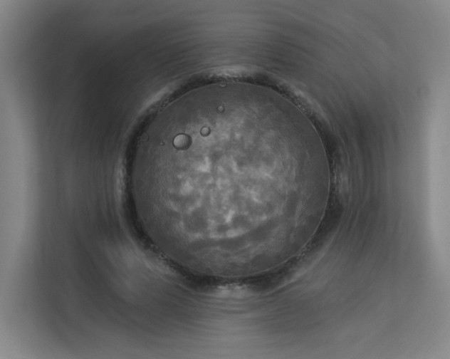 X0000113300591200909281106