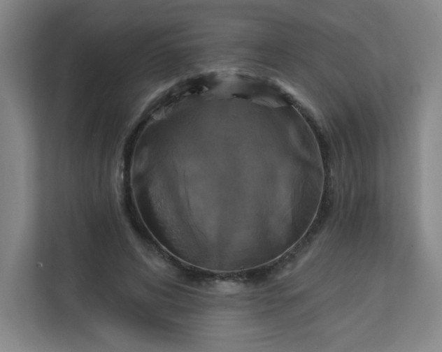 X0000113300592200909281106