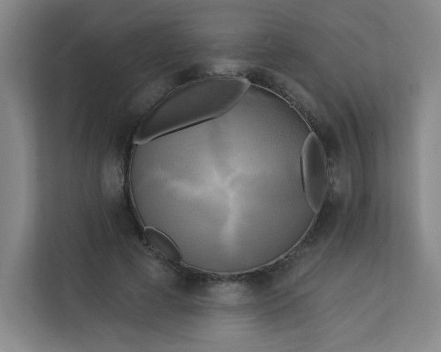 X0000113300593200909281106