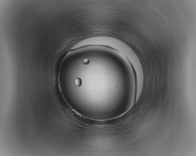 X0000113300595200909281106