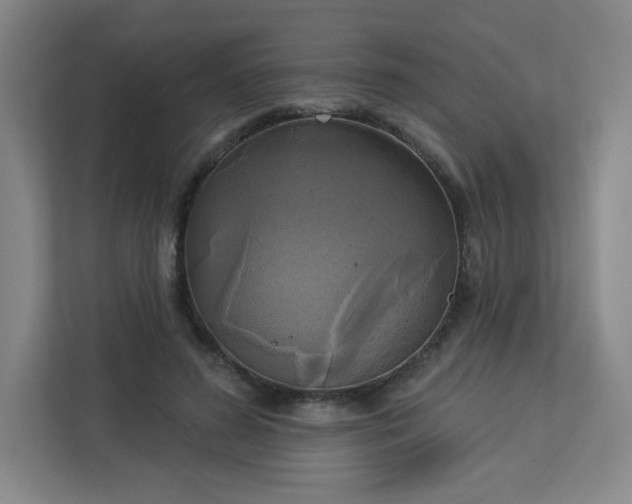 X0000113300596200909281106