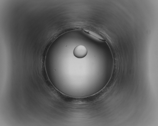 X0000113300597200909281106