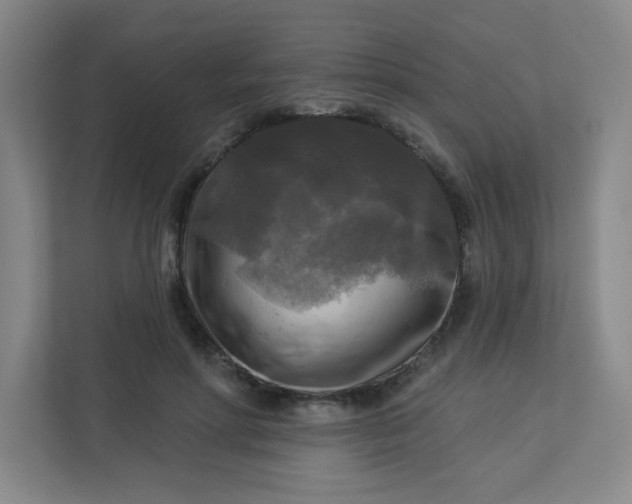 X0000113300598200909281106