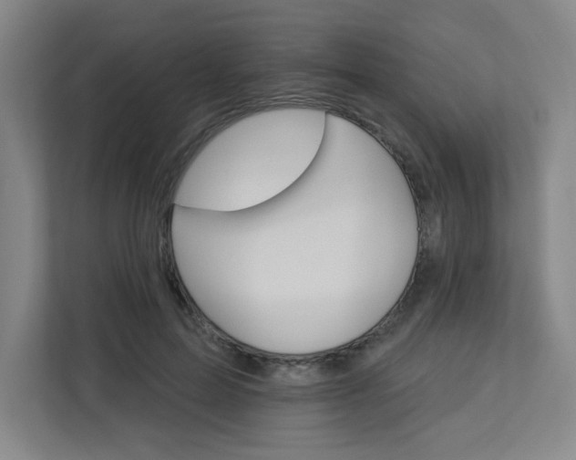 X0000113300599200909281106