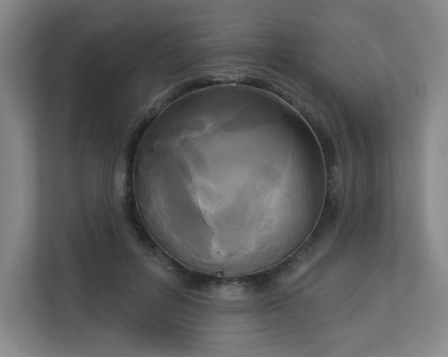 X0000113300600200909281106