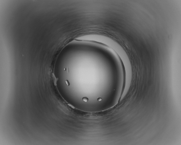 X0000113300601200909281106