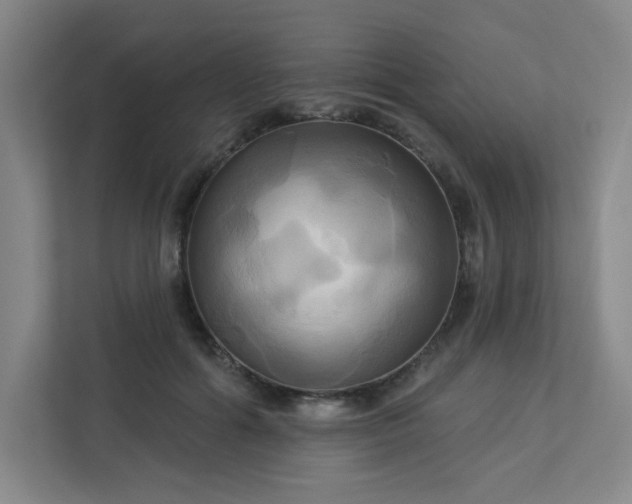 X0000113300602200909281106