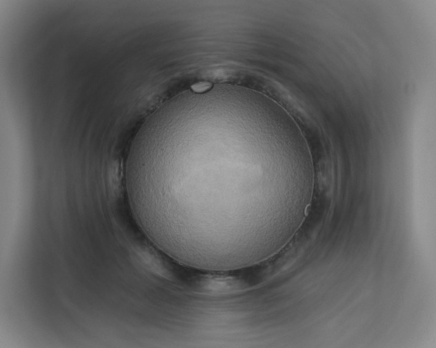 X0000113300605200909281106