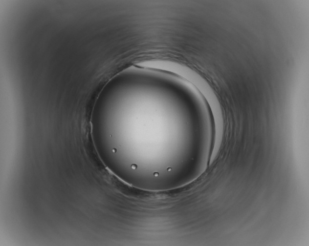 X0000113300609200909281106