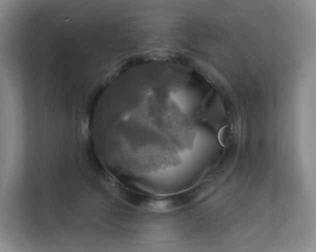 X0000113300610200909281106