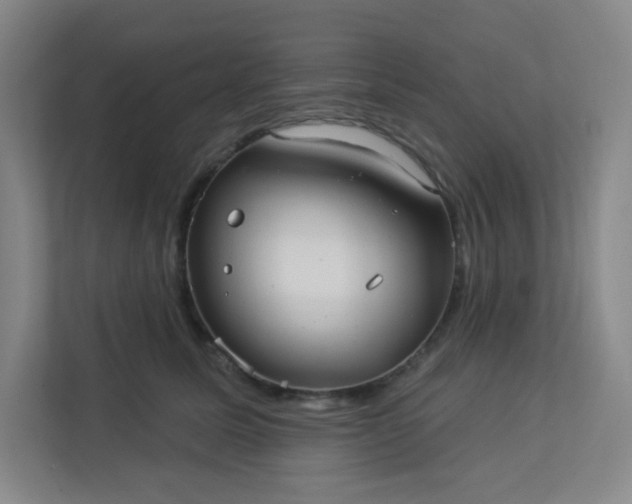 X0000113300611200909281106