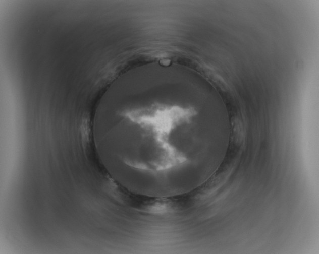 X0000113300612200909281106