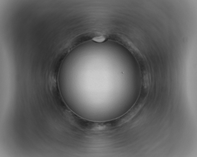 X0000113300613200909281106