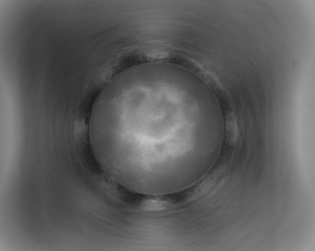 X0000113300614200909281106