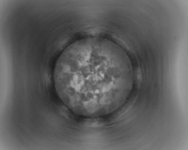 X0000113300615200909281106