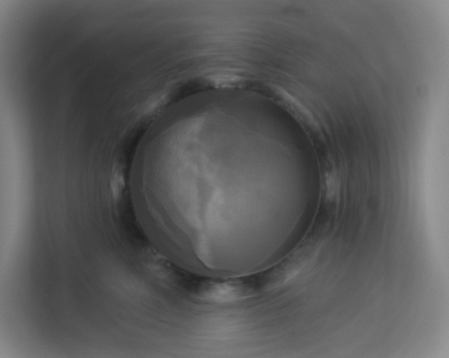 X0000113300618200909281105