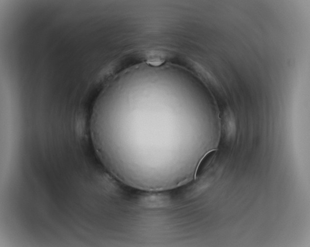 X0000113300619200909281105