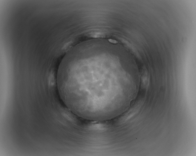 X0000113300620200909281105