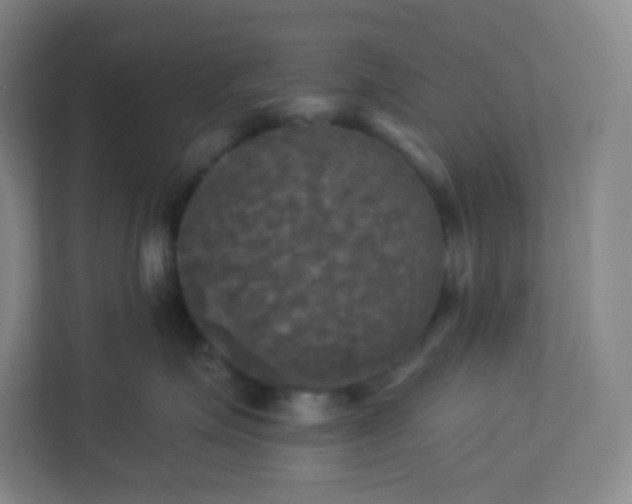 X0000113300623200909281105