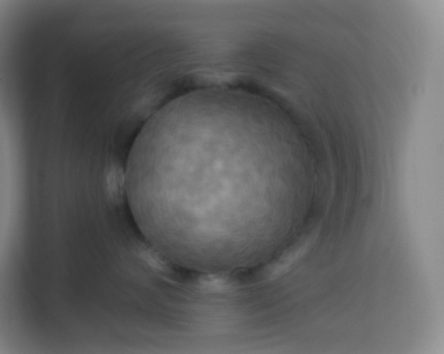 X0000113300624200909281105