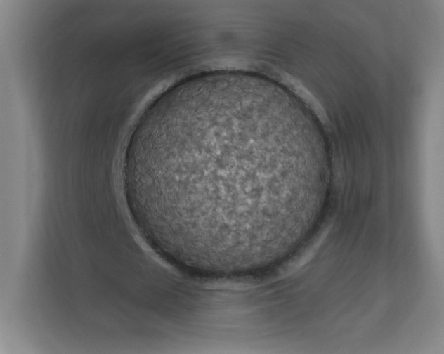 X0000113300625200909281105