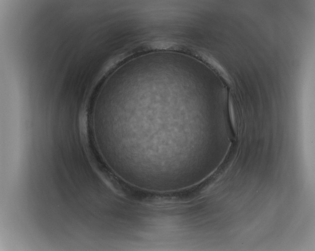 X0000113300626200909281105