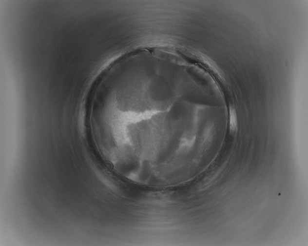 X0000113300627200909281105