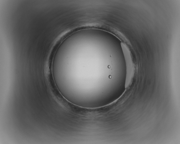 X0000113300628200909281105