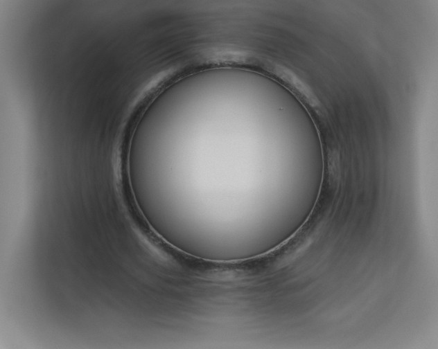 X0000113300629200909281105