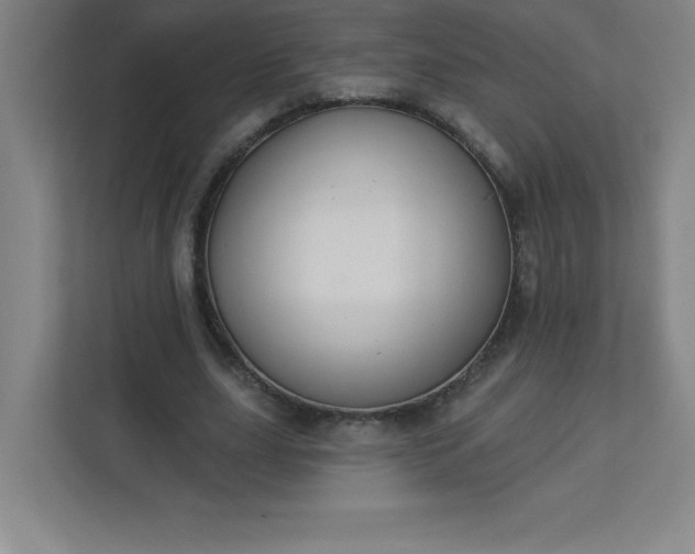 X0000113300631200909281105