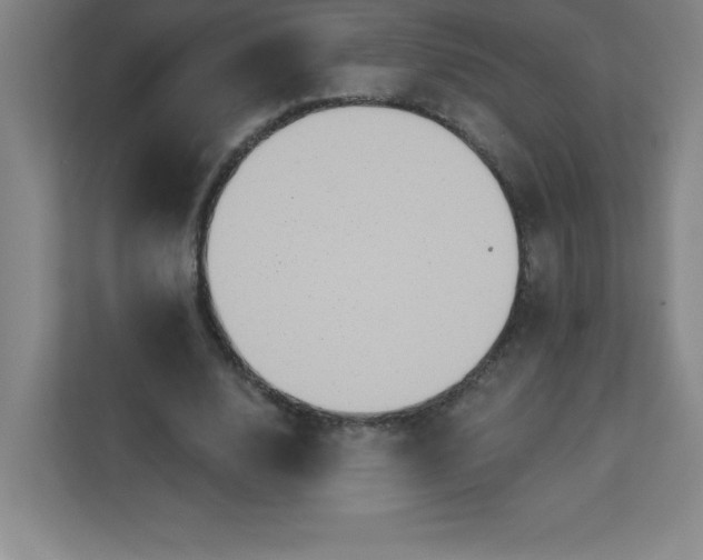 X0000113300632200909281105